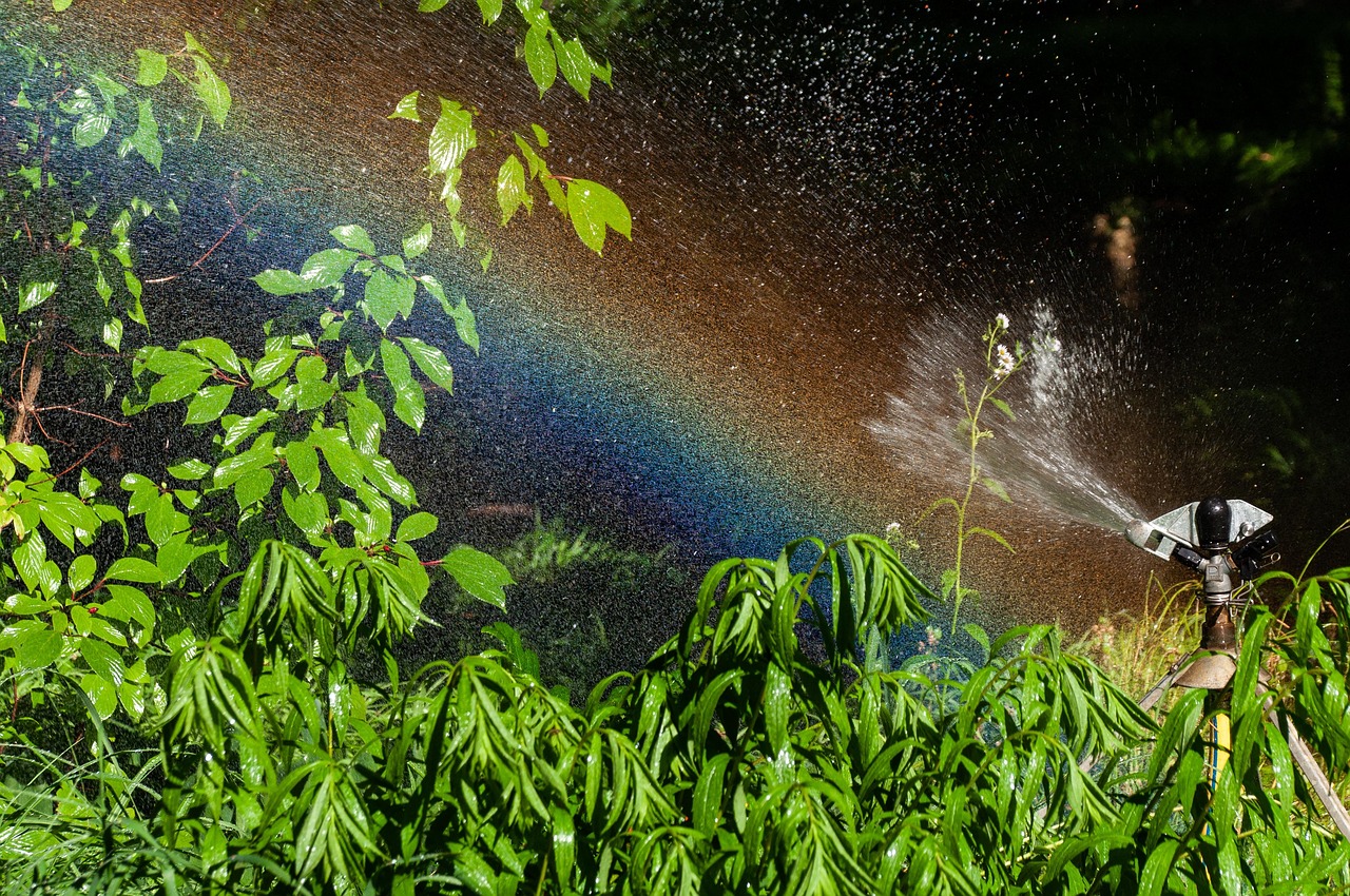 water-sprinkler-7254939_1280