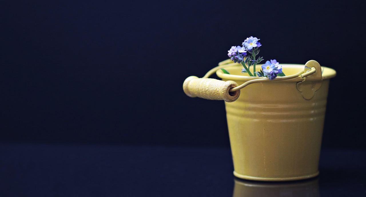 bucket-2156655_1280