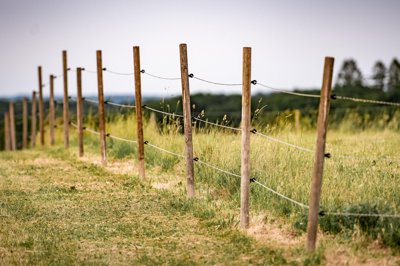 fence-6360408_1280