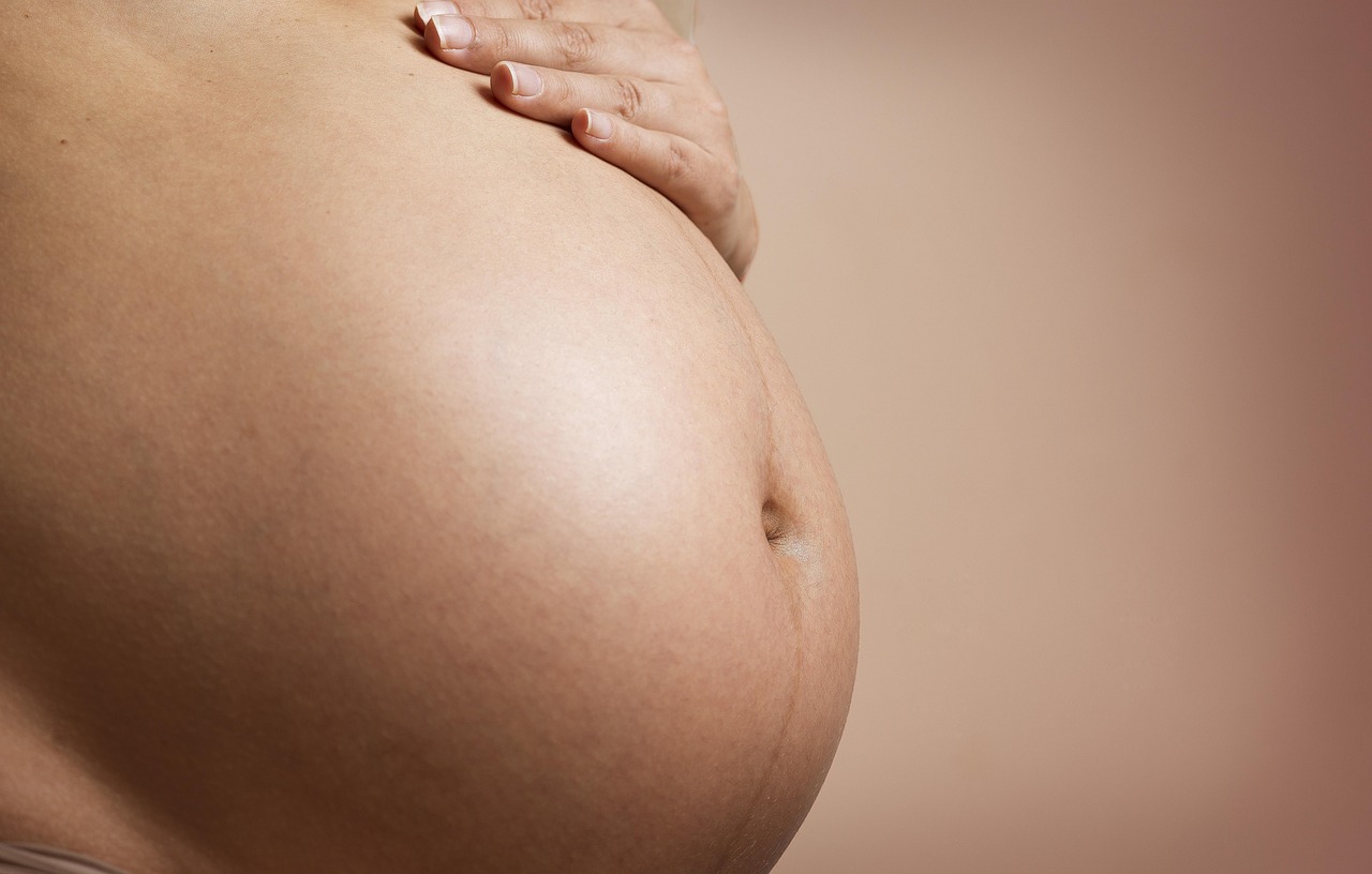 pregnant-2635034_1280