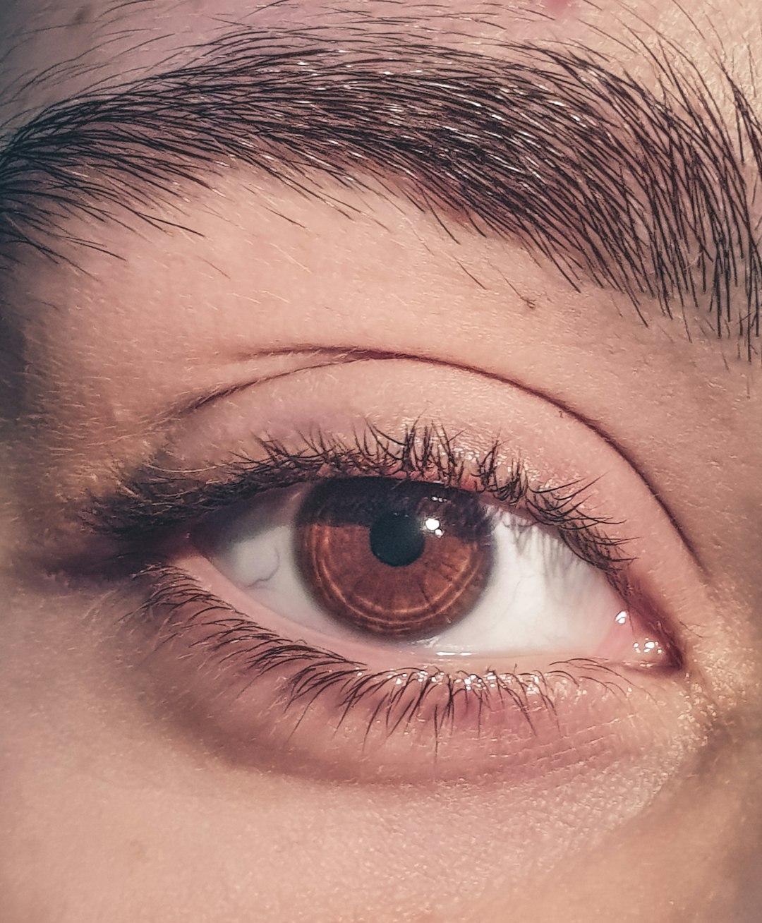 A close-up of a brown human eye with dark eyelashes and an eyebrow